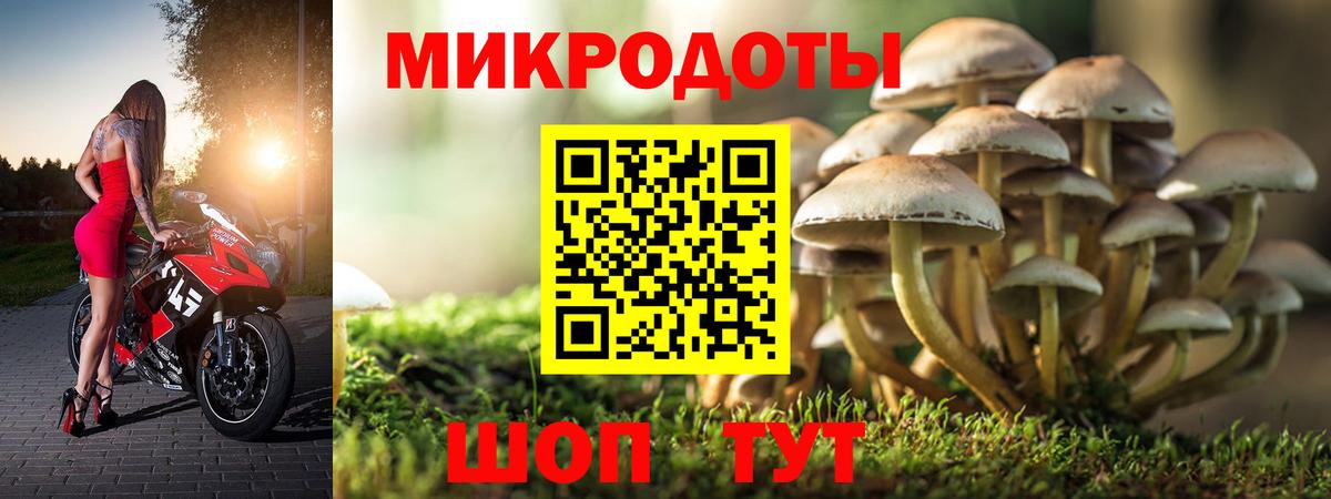 Псилоцибиновые грибы Magic Shrooms  Вход с VPN  Горячий Ключ  Псилоцибиновые грибы Cubensis 