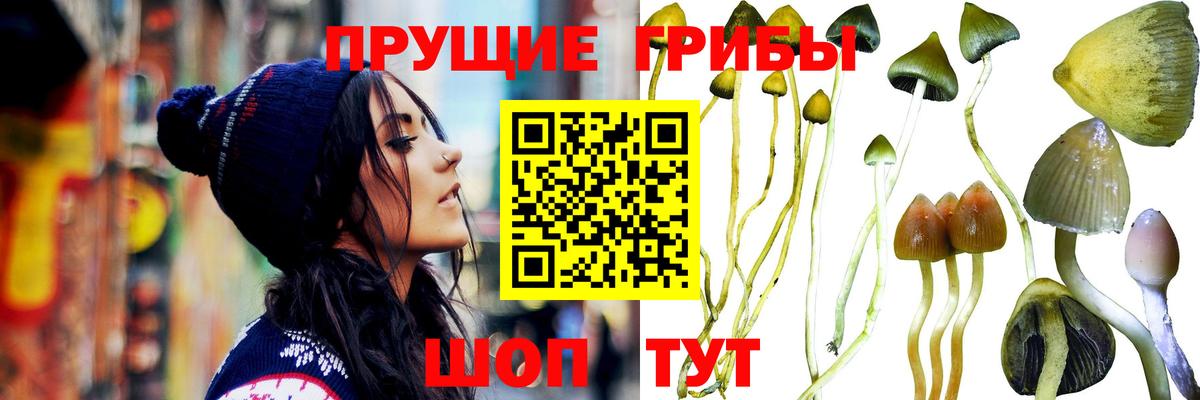 Псилоцибиновые грибы Magic Shrooms Горячий Ключ